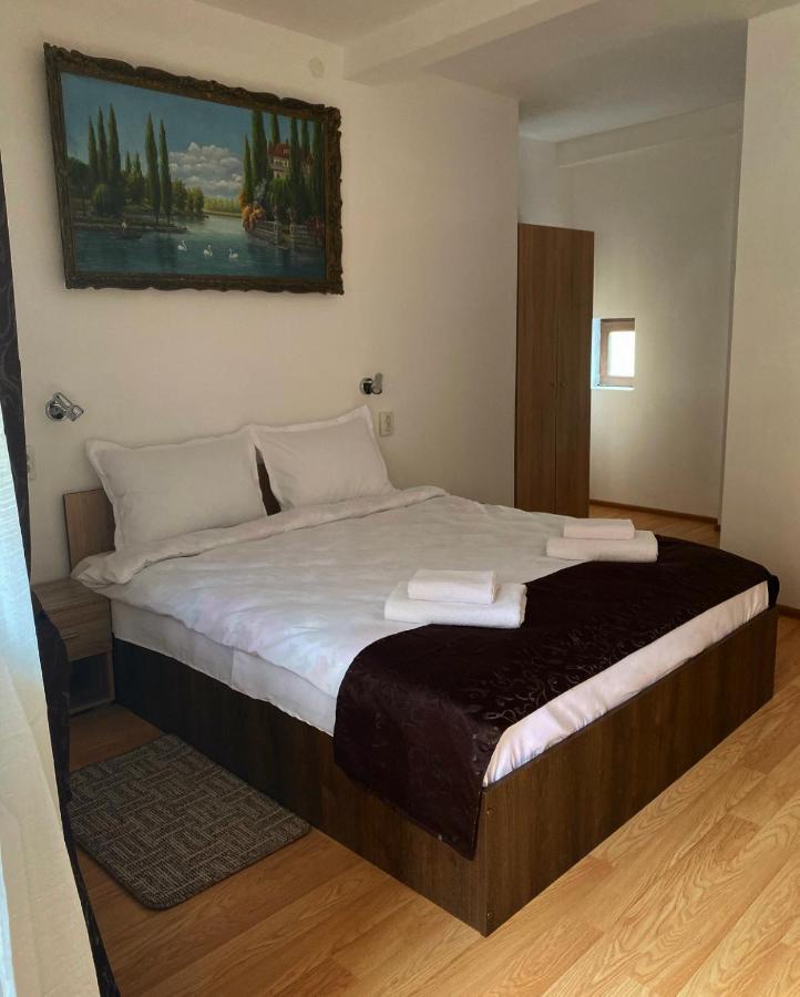 Ullysses Guest House Braşov Extérieur photo